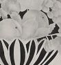 Still Life Theorem in Grisaille Framed Reproduction Wall Art Print