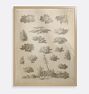 Foliage Studies Framed Reproduction Wall Art Print, 14" x 16" - Natural Wood Frame with Acrylic Glaze