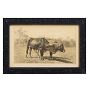 Vintage 19th Century French Cow by Julius Bien &amp; Co. Lith Print No. 5