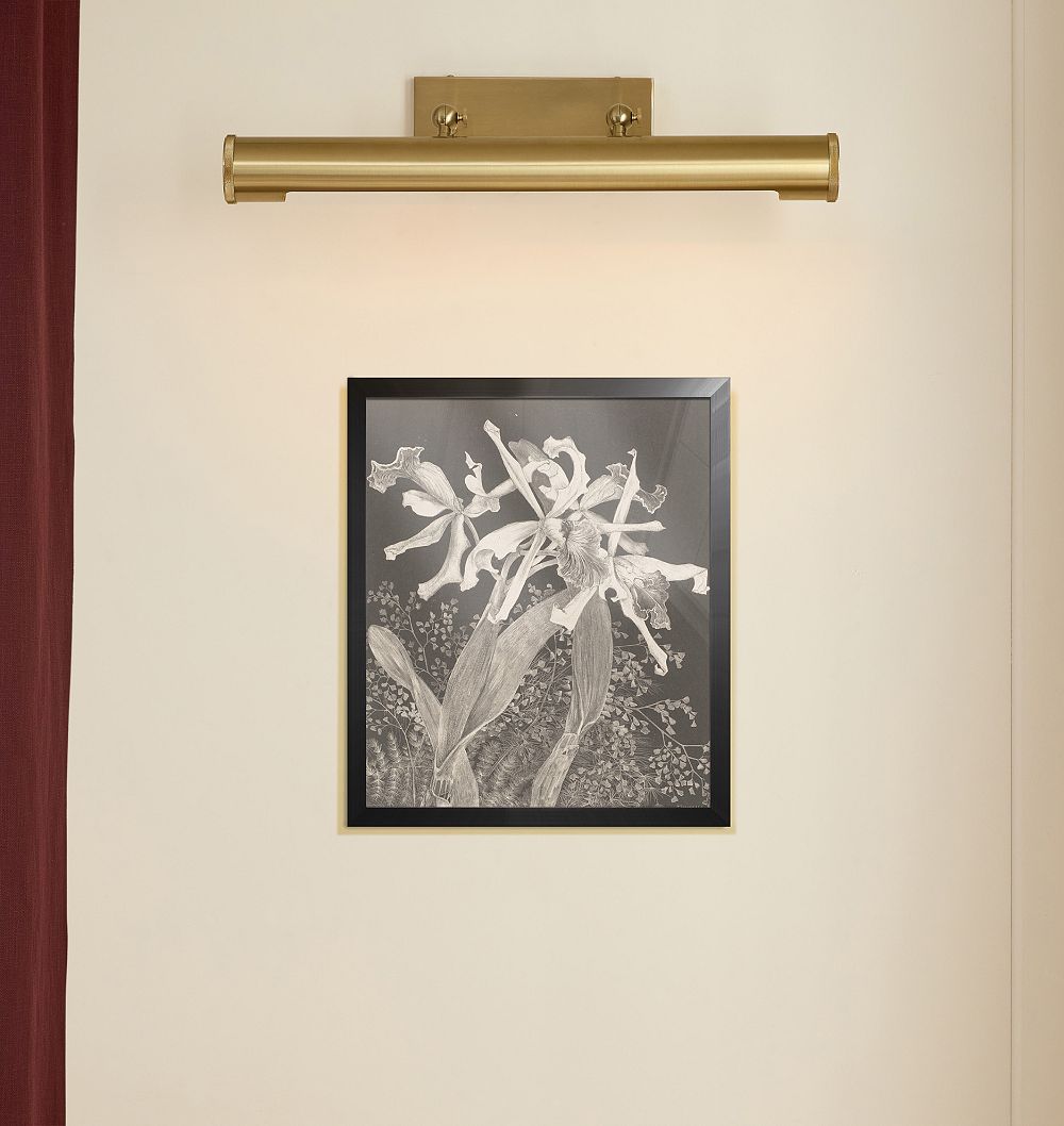 Orchids by Theo Van Hoytema Framed Reproduction Wall Art Print by Rejuvenation