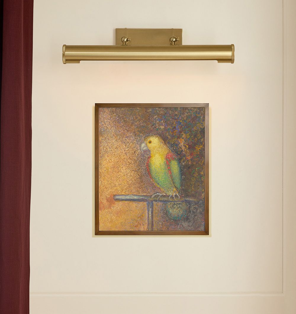 Parrot Framed Reproduction Wall Art Print by Rejuvenation