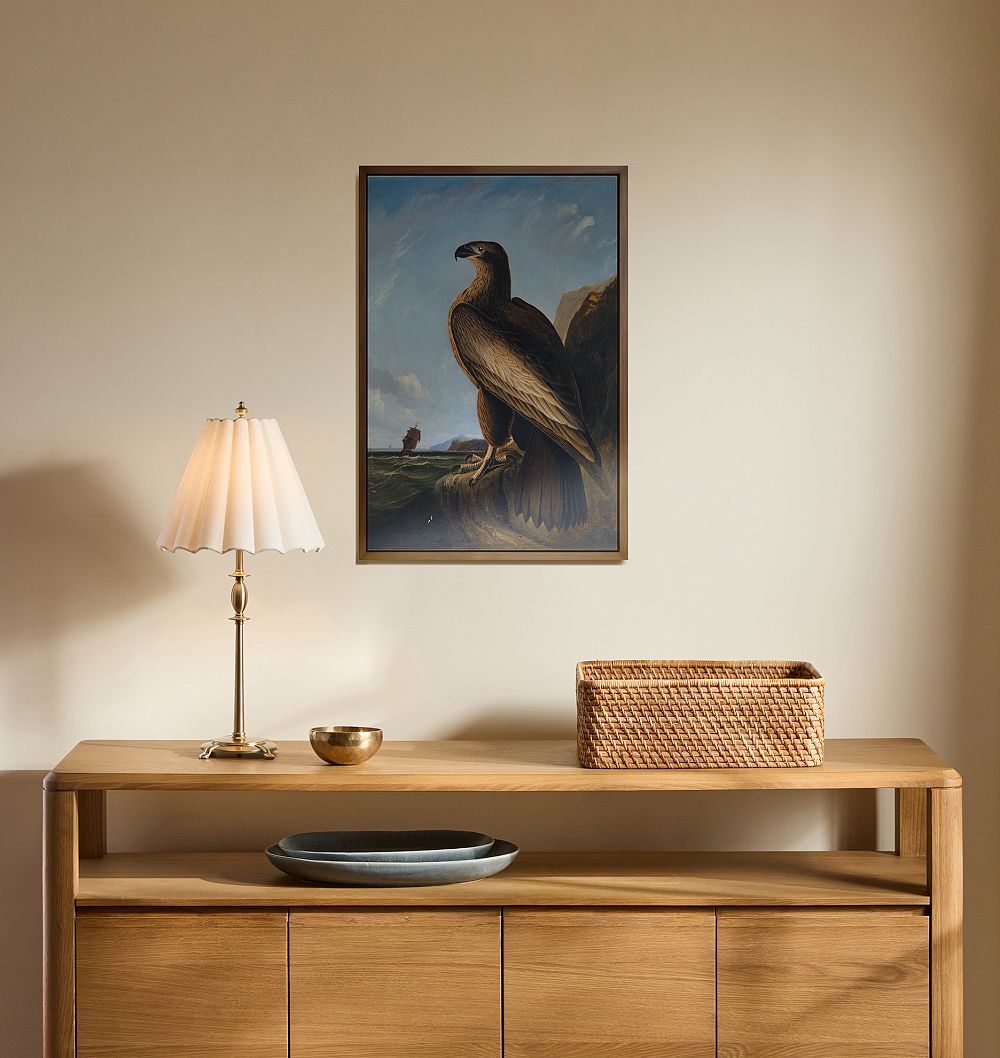 Washington Sea Eagle by John James Audubon Framed Reproduction Wall Art Print by Rejuvenation