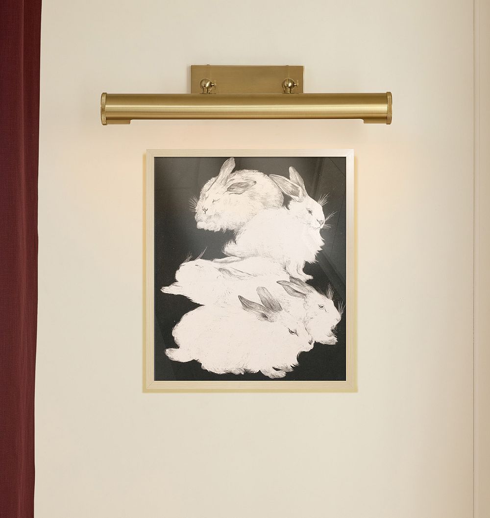 Five Angora Rabbits by Theo Van Hoytema Framed Reproduction Wall Art Print by Rejuvenation
