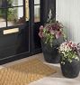 Lyre Terracotta Planters