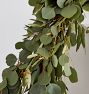Live Silver Dollar Eucalyptus Garland