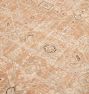 Rosina Indoor/Outdoor Hand-Knotted Rug