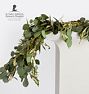 Live Silver Dollar Eucalyptus Garland, 10' - Garland