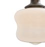 Pendant with Vintage Schoolhouse Organic Shaped Opal Glass Shade
