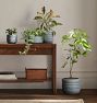 Lou Ceramic Planters