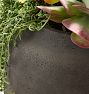 Ryder Ficonstone Planters