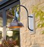 Carson Shepherd's Hook Sconce
