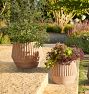 Lawrence Concrete Planters