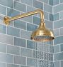 14-1/4" Wall Mount Shower Arm with 6" Shower Head