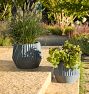 Lawrence Concrete Planters