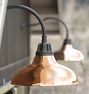 Carson Gooseneck Sconce, 20" Width