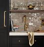 Davoli Pull Down Kitchen Prep Faucet