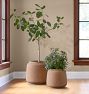 Ryder Ficonstone Planters