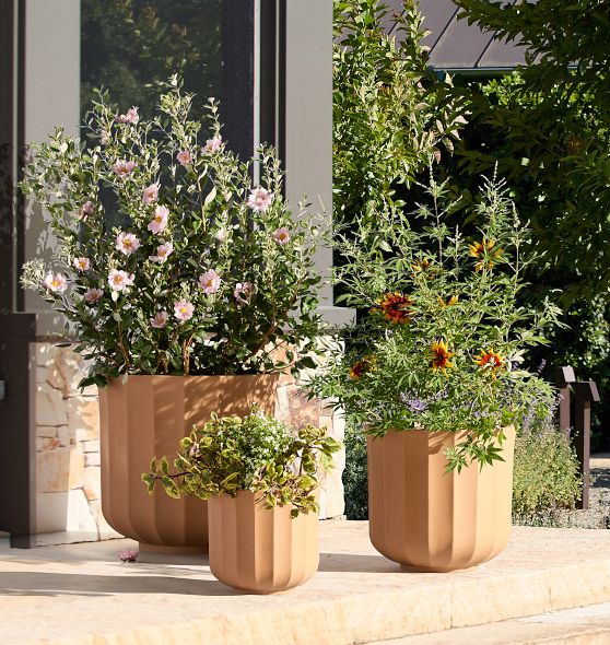 Liza Ficonstone Planters | Rejuvenation