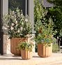 Liza Ficonstone Planters