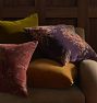 Pomona Velvet Pillow Cover