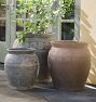 Magnolia Terracotta Planter