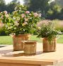 Ayana Glazed Ceramic Planters