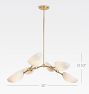 Argus Chandelier, 32" Width