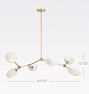 Argus Chandelier, 45" Width