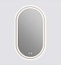 Glover Framed Mirror LED Pill 20in x 36in Brushed Bronze