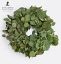 Silver Dollar Euc Olive 20in Wreath