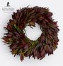 Safari Sunset Leucadendron 20in Wreath