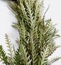 Live Grevillea Garland and Wreath