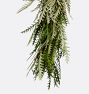 Live Grevillea Garland and Wreath