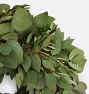 Live Silver Dollar Eucalyptus Wreath