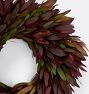 Safari Sunset Leucadendron Wreath