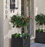 Covington Planters