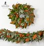 Live Magnolia &amp; Seeded Eucalyptus Garland and Wreath