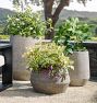 Austin Ficonstone Planter