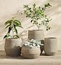 Austin Ficonstone Planter