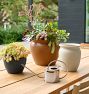 Stainless Steel Watering Can