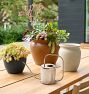 Stainless Steel Watering Can
